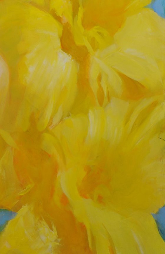 Yellow Gladioles