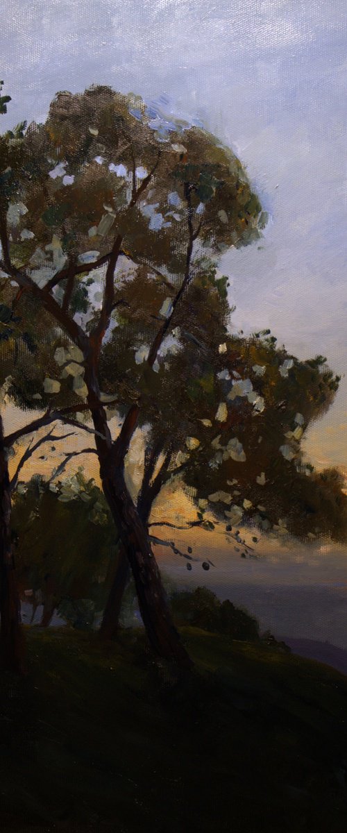 Sunset On Carmel Mountain by OLEG KAMAEV