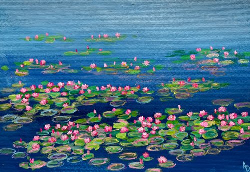 Pink water lilies bunch by Amita Dand