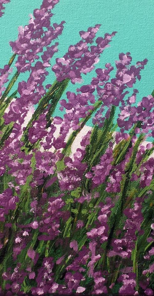 Lavender Fields by Sam Martin