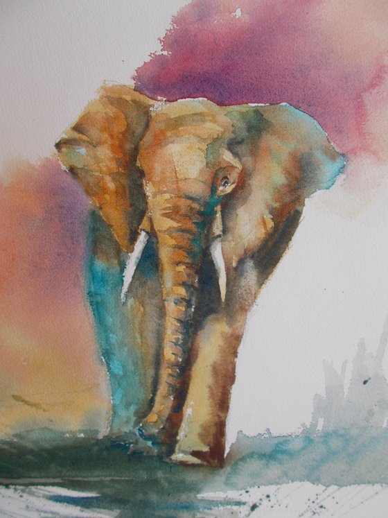 elephant 3