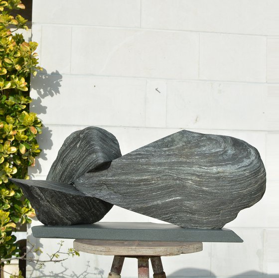 "Particular Insight"