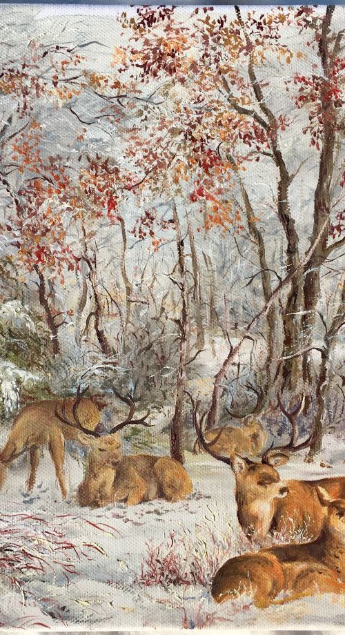 Winter beauty by oana voda