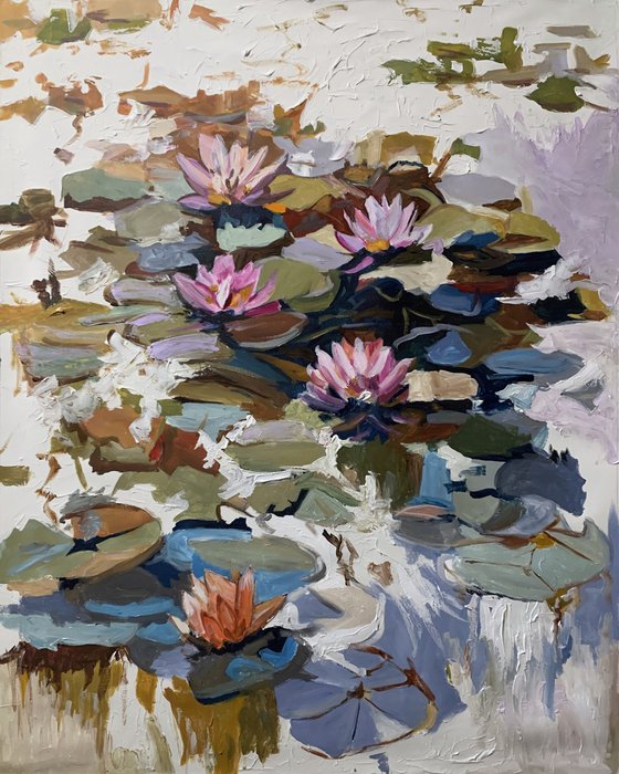Summer Pond. Pink Water Lilies.