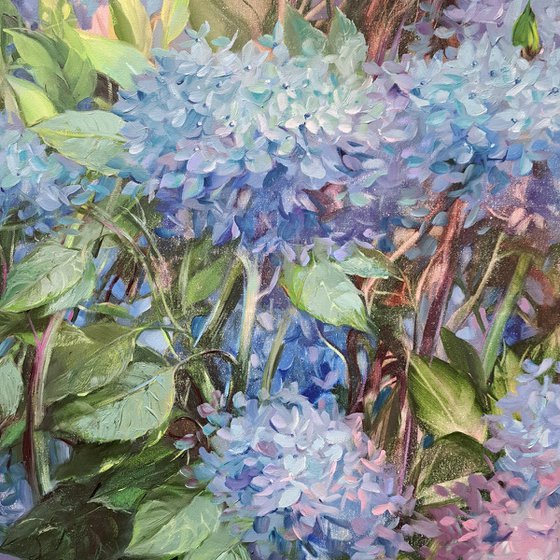 Hydrangea garden