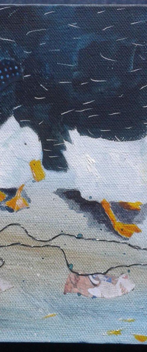 Three white ducks by Fiona Plaisted