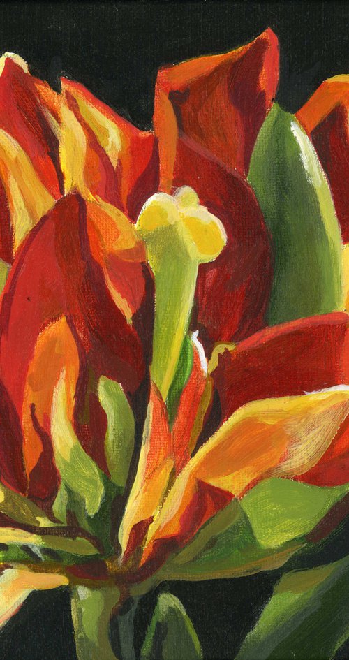 spring tulip acrylic floral by Alfred  Ng