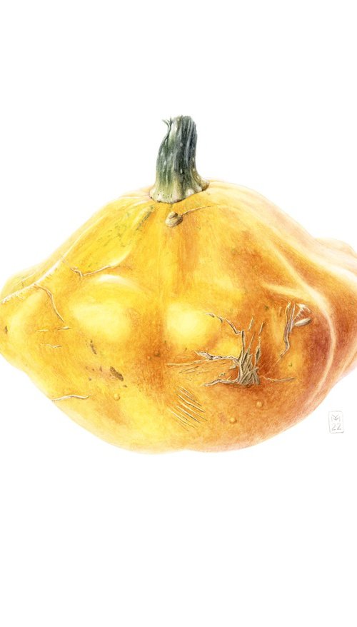 Yellow Pattypan Squash by Yuliia Moiseieva