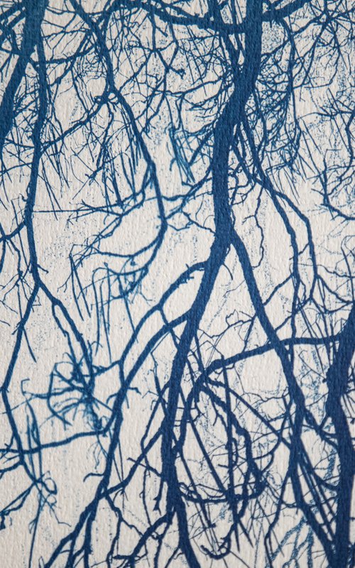 Flow zone, cyanotype large format by Georgii Vinogradov