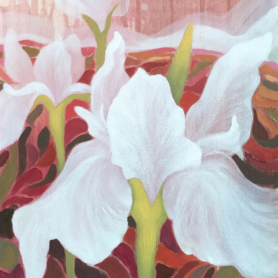 White Irises Dream