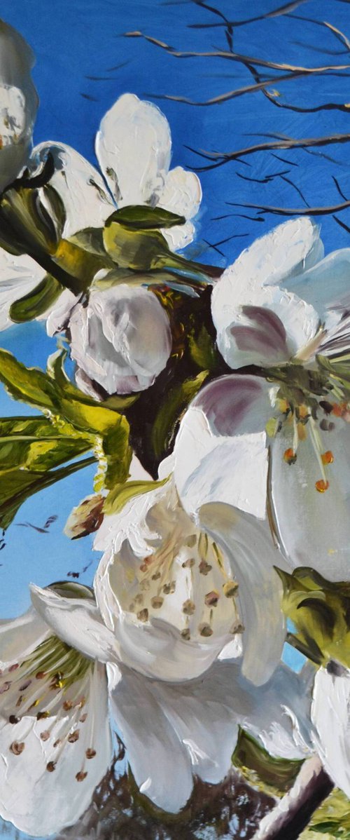 Pure White by Valeriia Radziievska