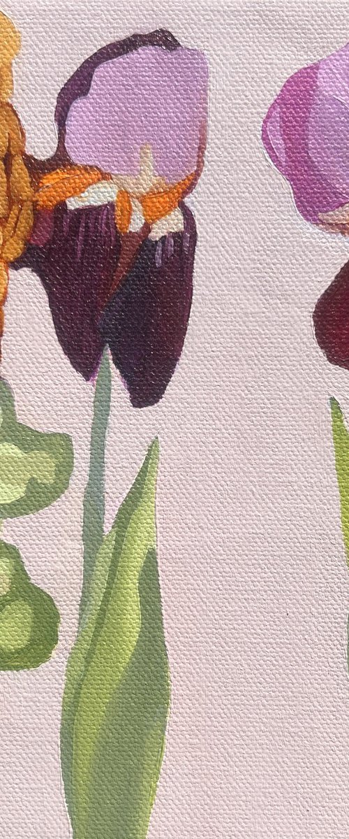 Conversations Irises by Anna Bergin