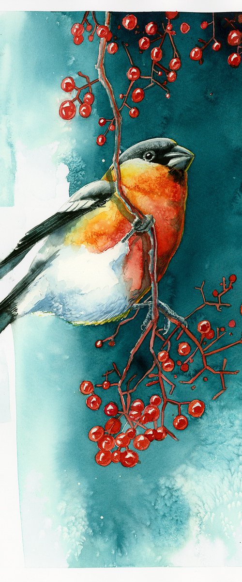 Bullfinch with rowan by Karolina Kijak