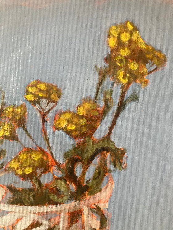 Ellipsis of Summer