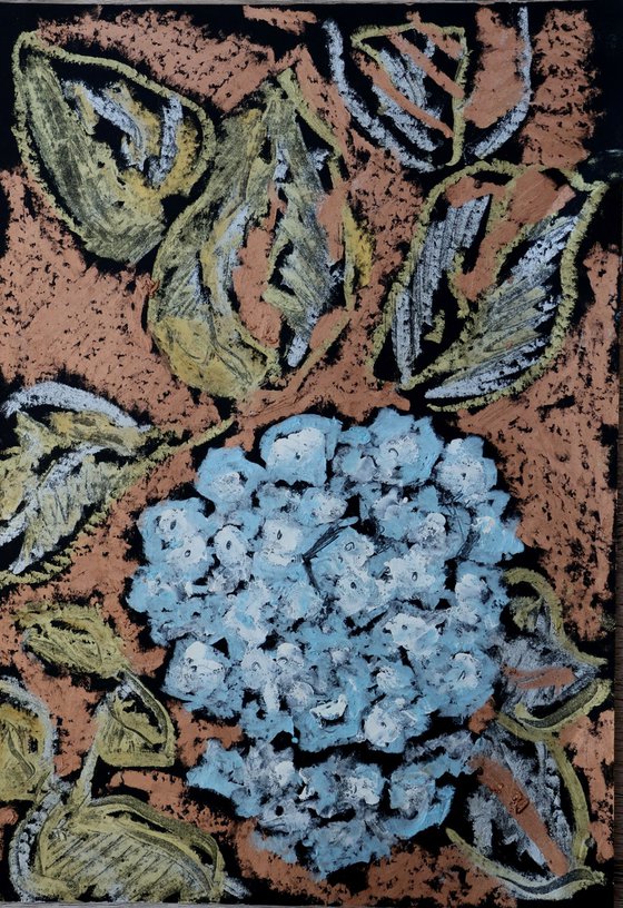 Blue Hydrangea