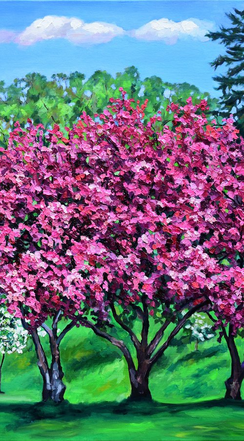 Crabapple Canopy II by Christina M Plichta