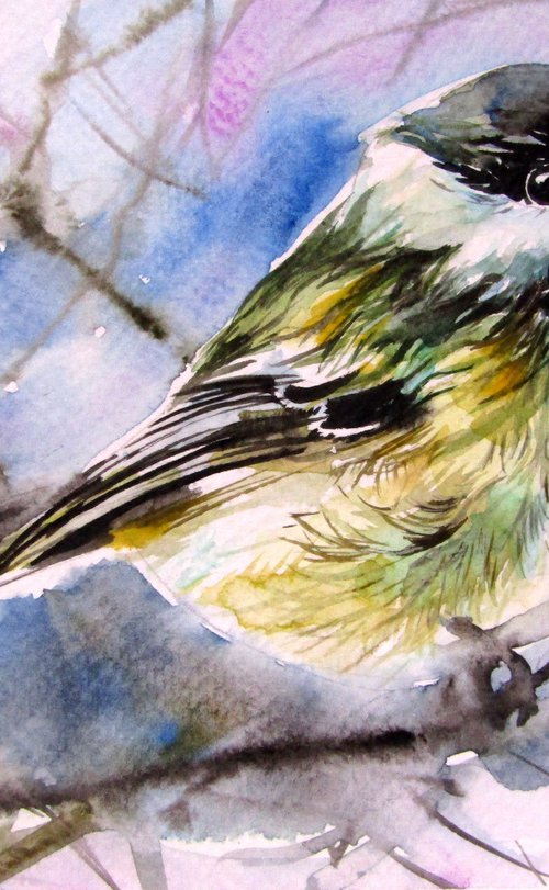 Great tit by Kovács Anna Brigitta