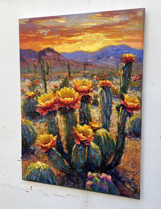 "Flowering Canyon cacti "