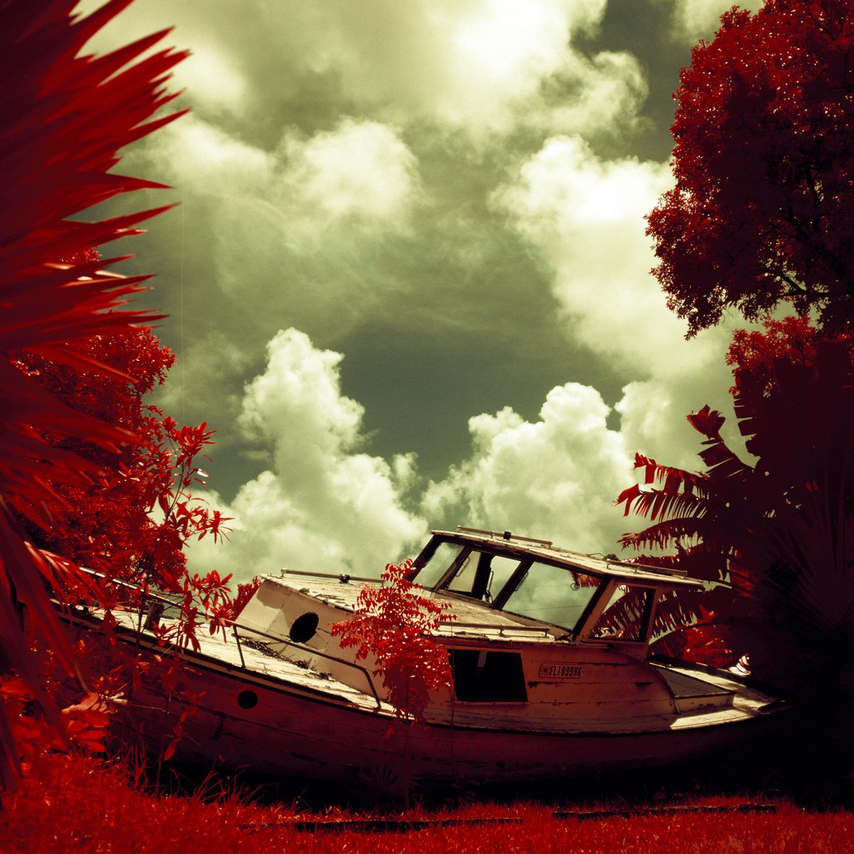 Abandoned Boat - Stock Island by Mark Hannah