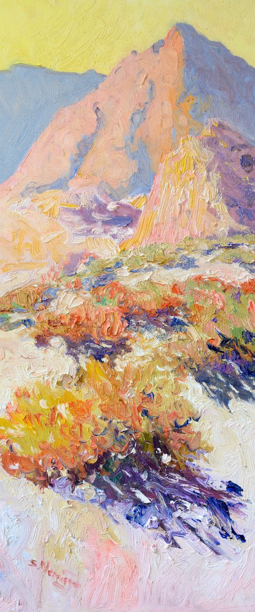 Morning Light. Desert by Suren Nersisyan