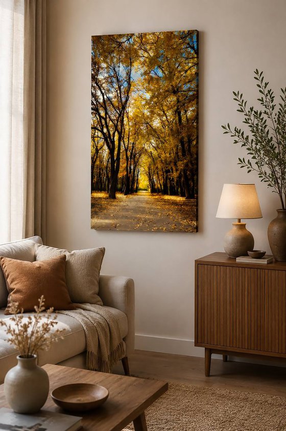 Autumn Calm VII — Golden Avenue
