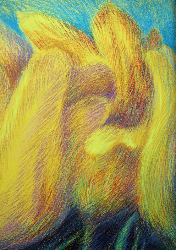 Tulips Yellow 4