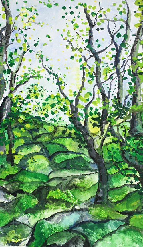 Dartmoor Woods by Lucy Smerdon