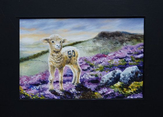 The Lost Sheep £40