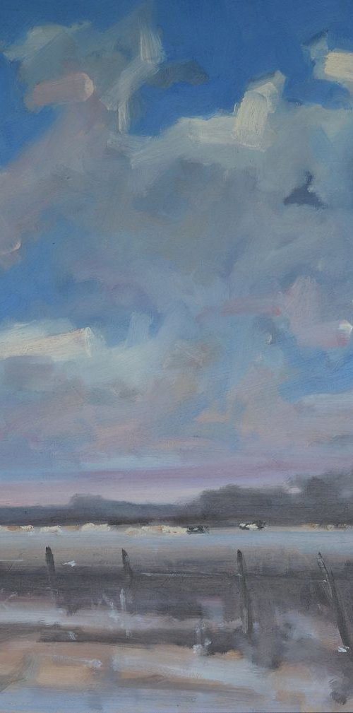 Cows in misty field by Tom Cringle