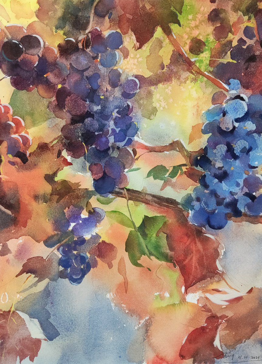 Impressionistic Botanical Watercolour By Jing Chen, 11 X 15, Grapes 6, Original Artwork