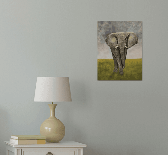 African elephant