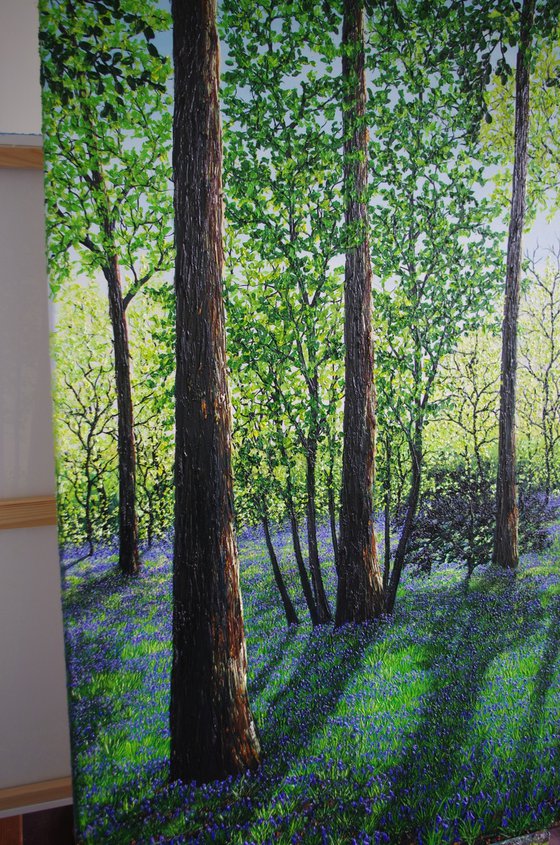 Springtime Shadows