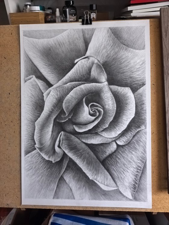 Unfolding. Meditative Botanical Fine Art