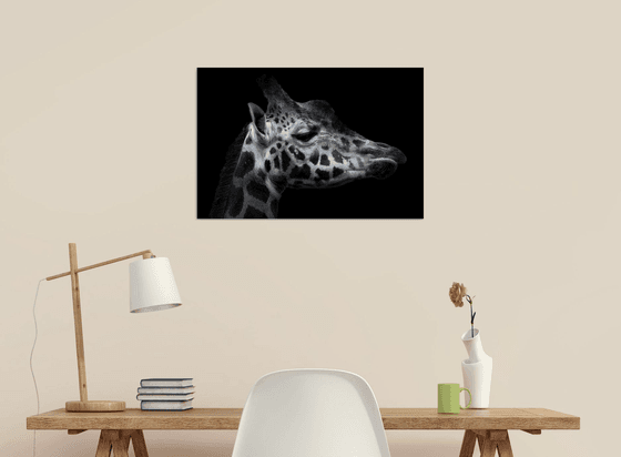 Giraffes head
