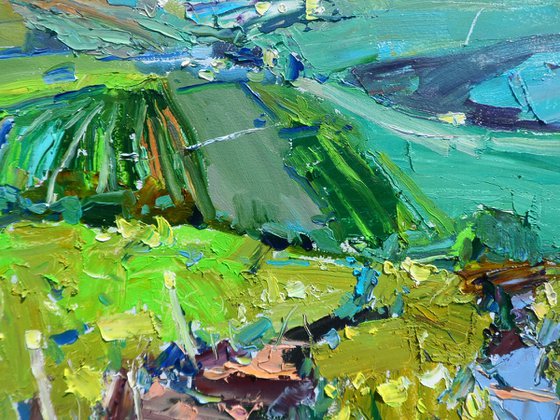 "  Vineyards "