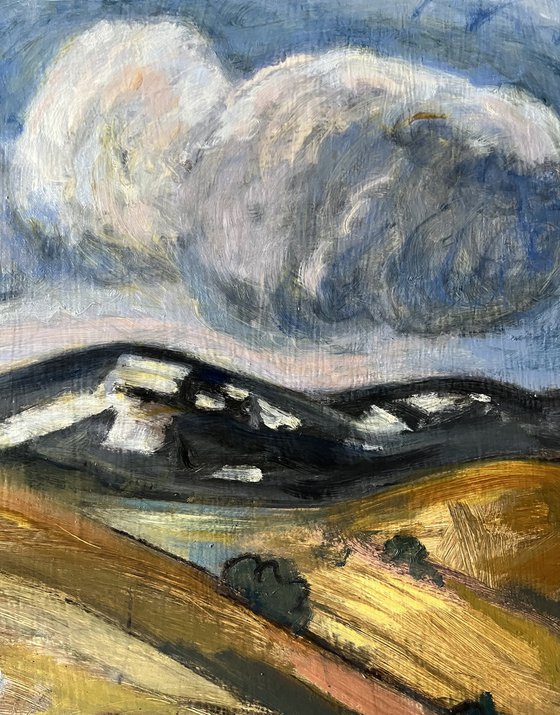 Springtime at Drynie Park