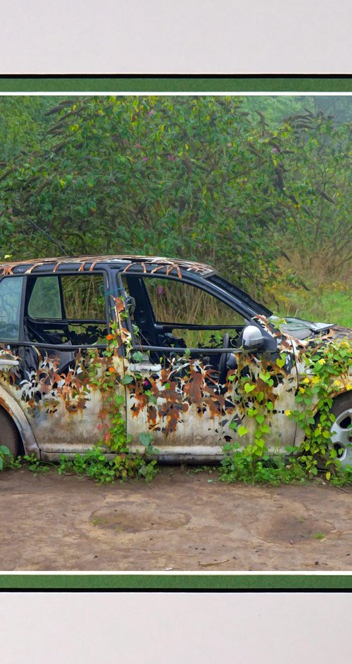 Urban Art meets Nature by Robin Clarke