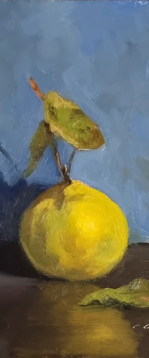 Quince and Blue Background by Pascal Giroud