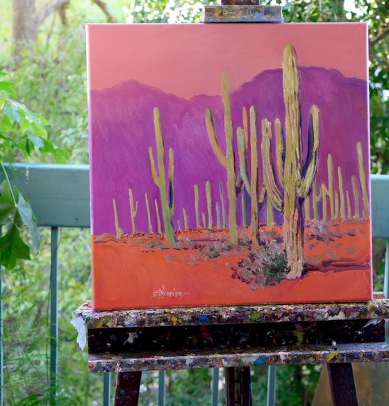 Saguaros. Desert Evening