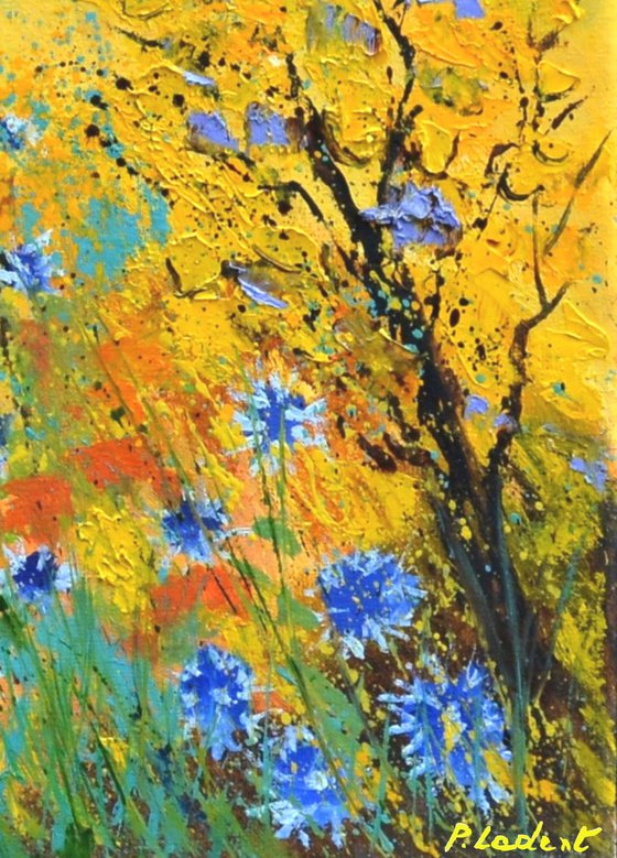 Some blue cornflowers