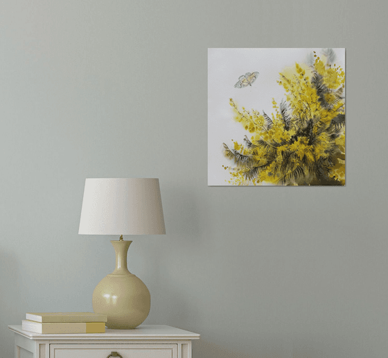 Mimosa branches