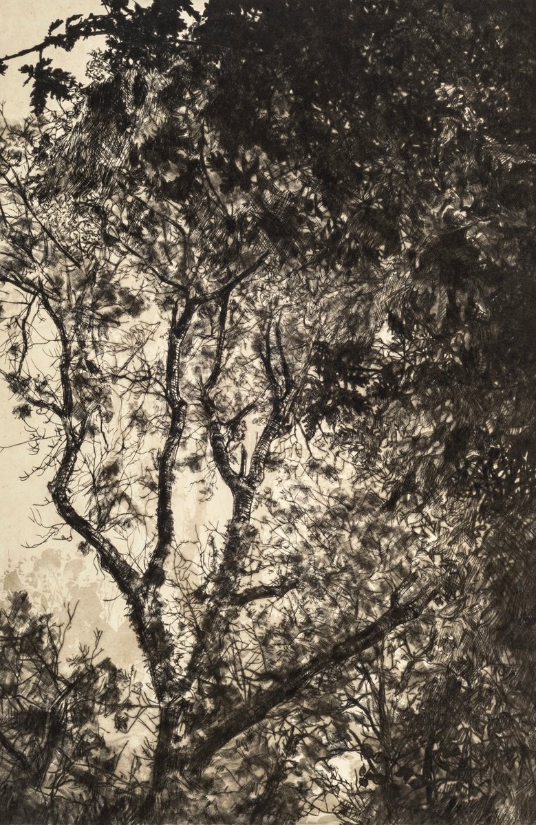 Impressionistic Botanical Screenprint By Fiona Hamilton, 18 X 24, Autumn Light, Original Artwork