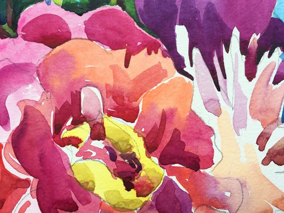 Pink and red watercolor peonies