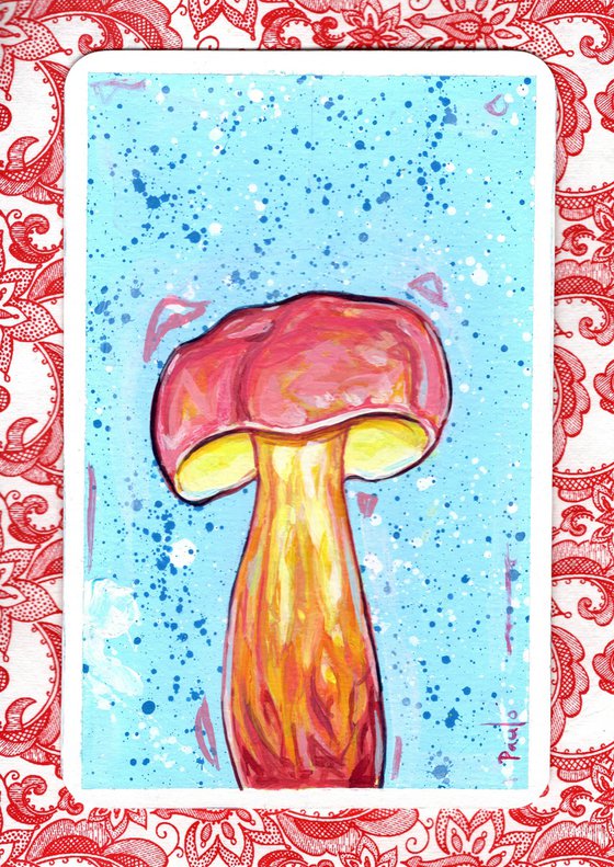 Two coloured bolete