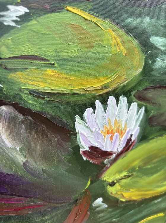 Serenity of Water Lilies