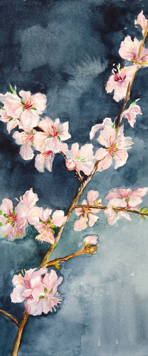 The branch of an almond tree. Watercolor by Daria Galinski