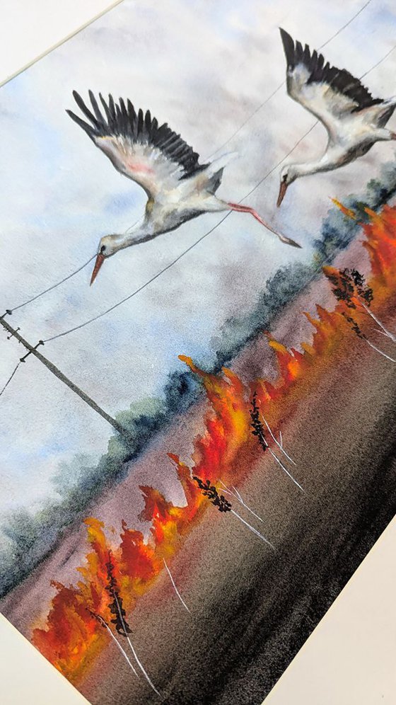 Storks Over Mykolaiv Region