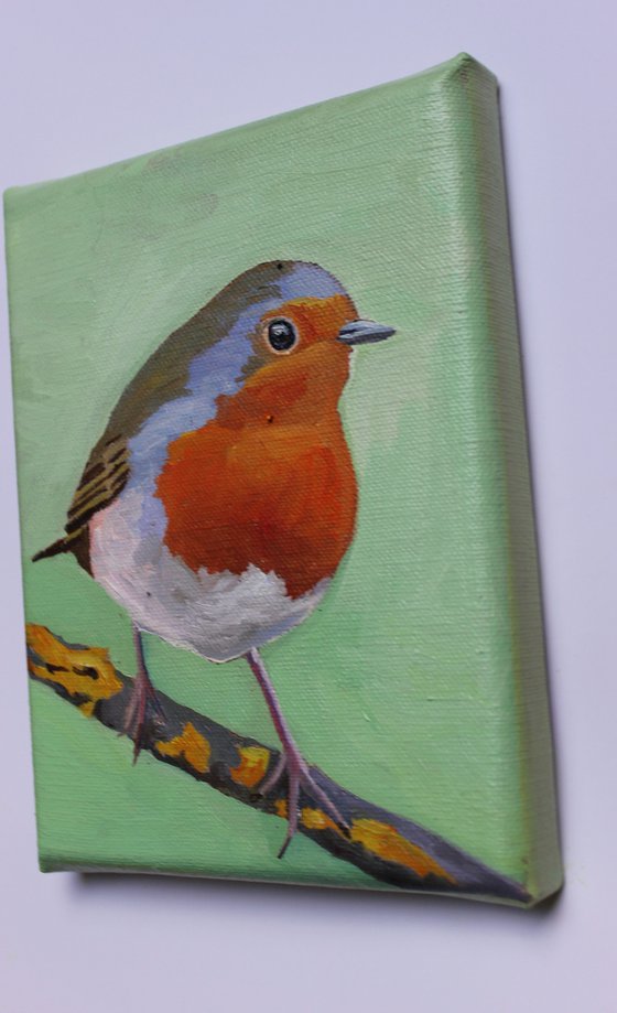 Robin On A Branch