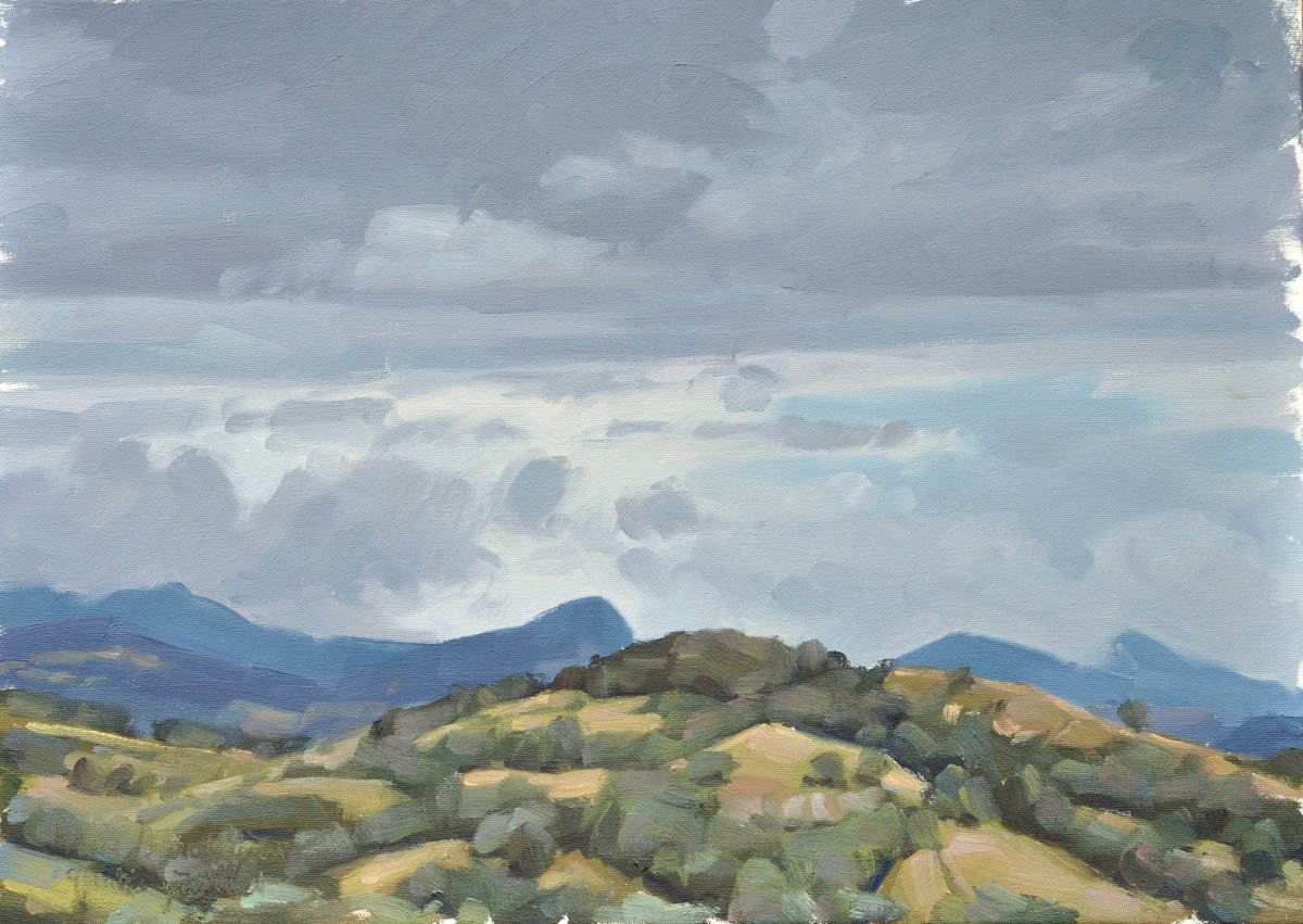 July 4, Roches de Mariols, after the thunderstorm by ANNE BAUDEQUIN