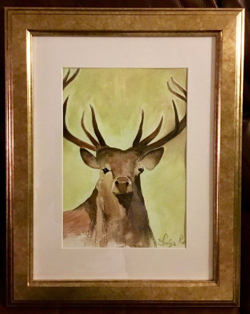 Rustic Stag by Shabs  Beigh